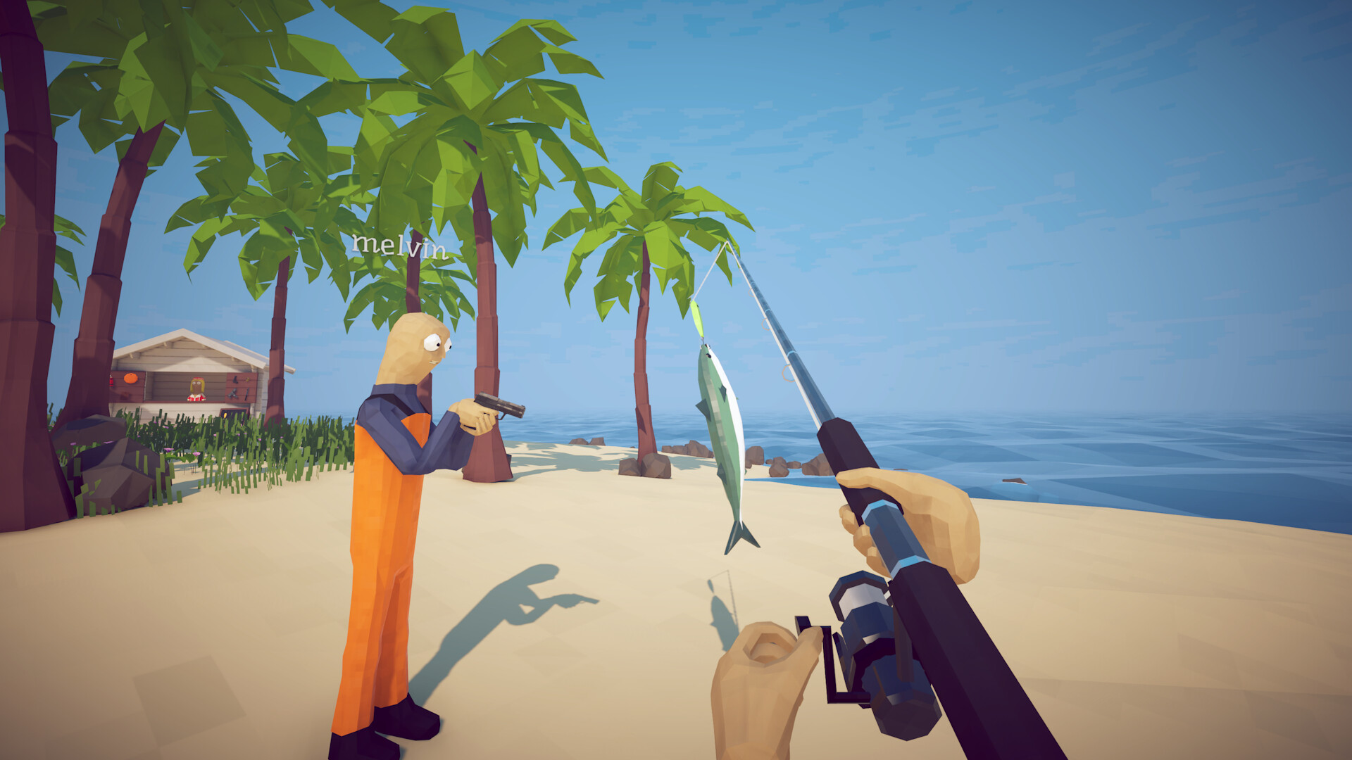 How to Fish gameplay — fishing off a tropical beach near an NPC